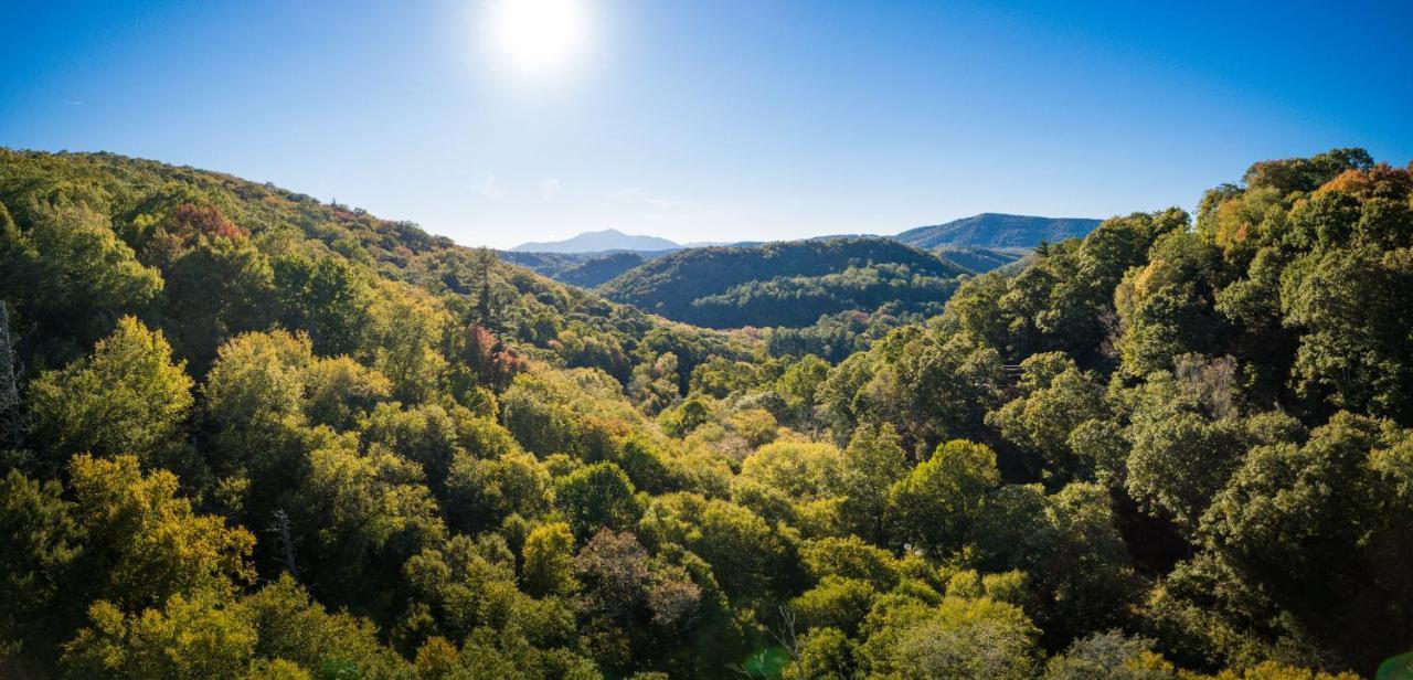 The Wanderer Guesthouse Boone Εξωτερικό φωτογραφία